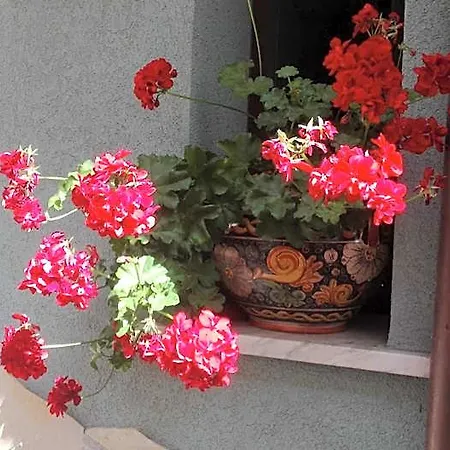 Hotel Kalaskiso' 3*